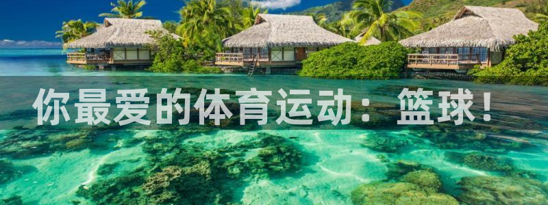 vsport体育官网下载平台假的吗是真的吗:你最爱的体育运动