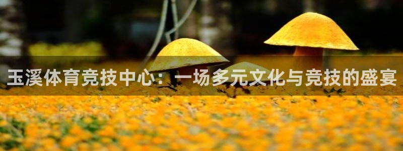 vsport体育官网下载是干嘛的公司:玉溪体育竞技中心:一场