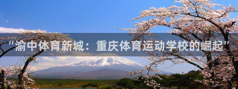 vsport体育官网下载注册:“渝中体育新城:重庆体育运动学